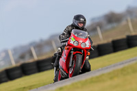 PJ-Motorsport-2019;anglesey-no-limits-trackday;anglesey-photographs;anglesey-trackday-photographs;enduro-digital-images;event-digital-images;eventdigitalimages;no-limits-trackdays;peter-wileman-photography;racing-digital-images;trac-mon;trackday-digital-images;trackday-photos;ty-croes